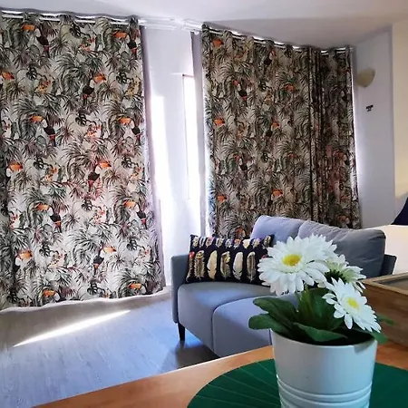 City Beach Home Apartment *