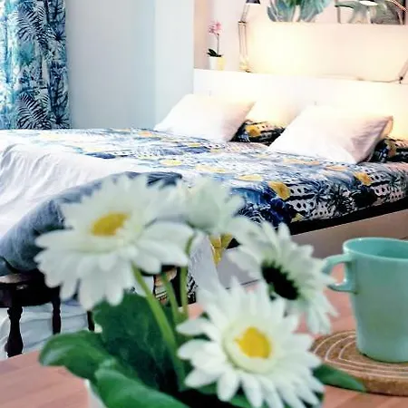 City Beach Home Apartment *