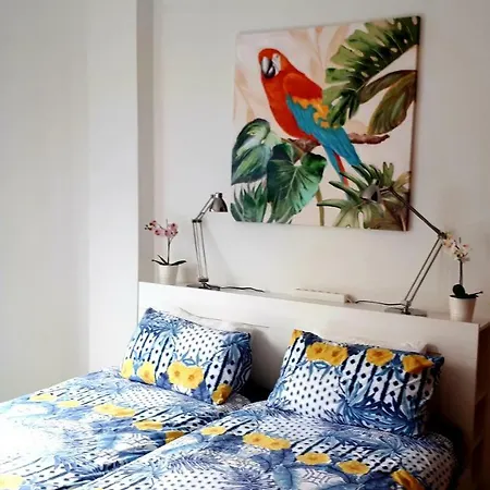 Lejlighed City Beach Home Las Palmas de Gran Canaria